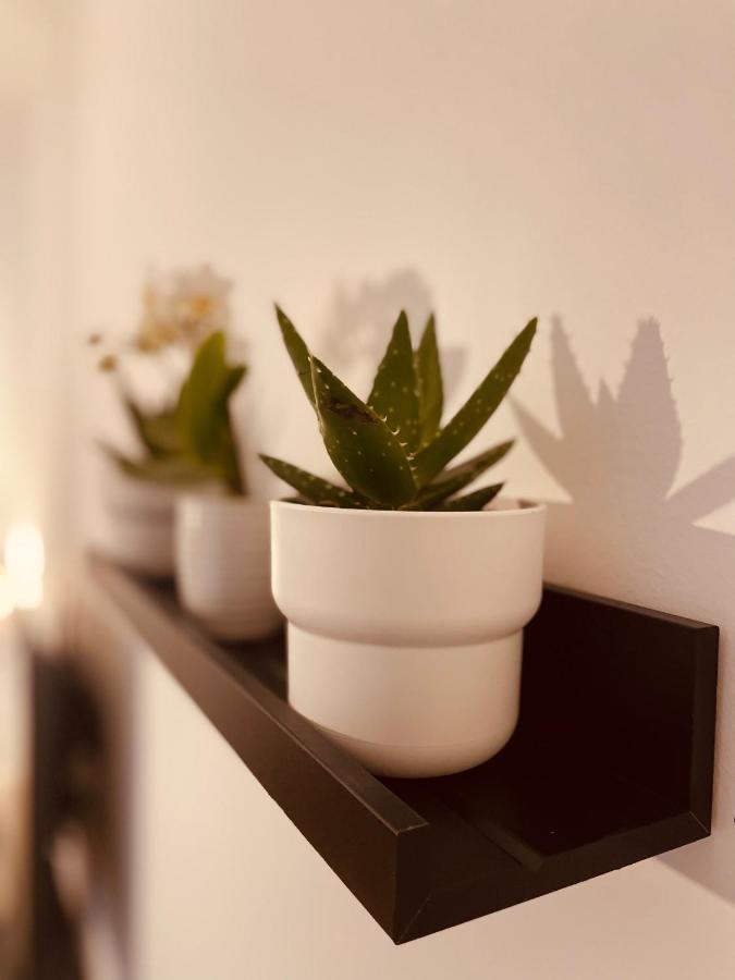 Bed and Breakfast Carducci 83 Pescara Exterior foto